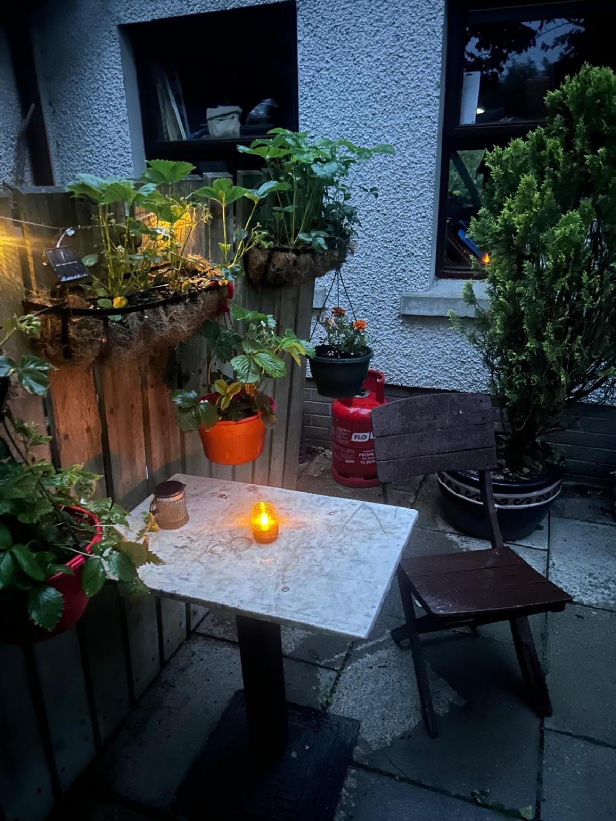 The Loft At Rowantree Cottage Dromara Екстериор снимка